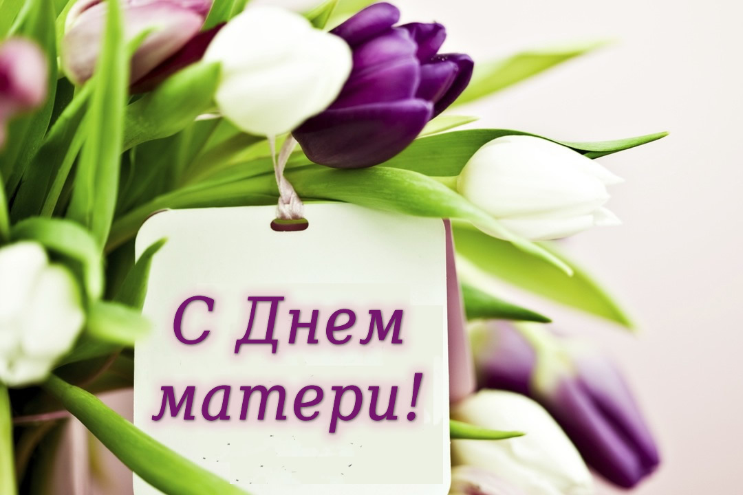 26 ноября в России   отмечается День Матери..
