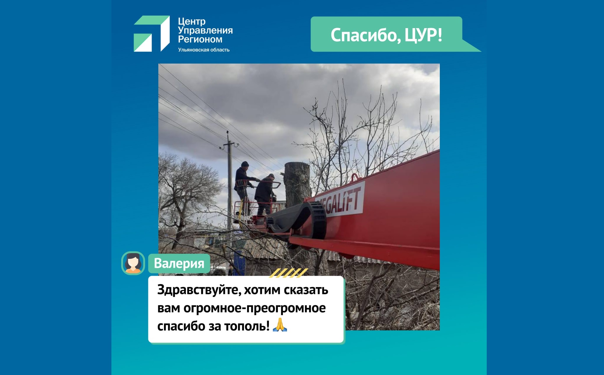 Жительница Александровки поблагодарила за помощь с аварийным деревом.