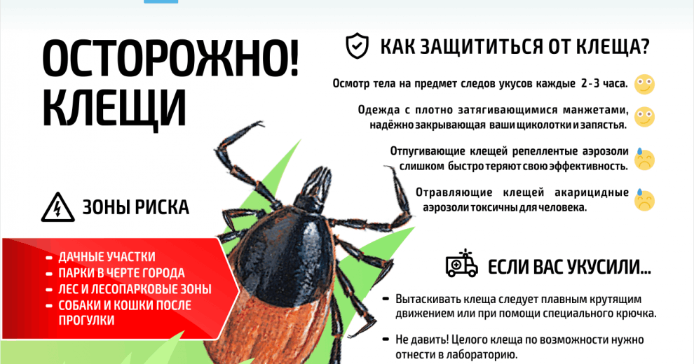 Осторожно клещ.