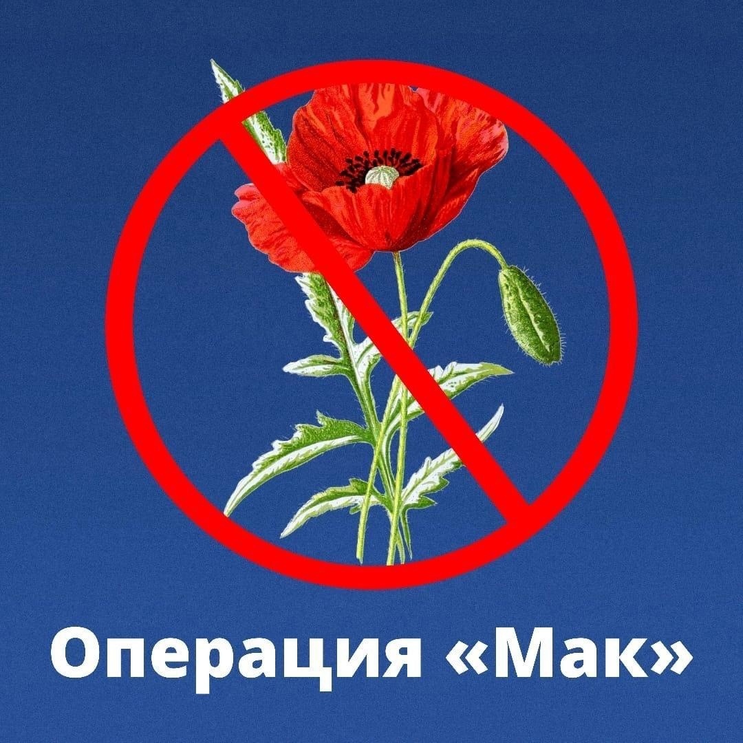 Профилактической операции «Мак-2025»..
