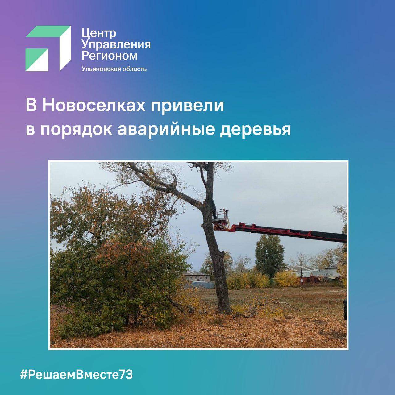 В Новоселках привели в порядок аварийные деревья.