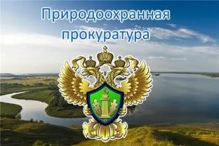 Прием граждан по вопросам исполнения законодательства об охране окружающей среды и природопользовании на территории Мелекесского района Ульяновской области.