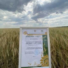 8 августа Мелекесский район получил почётную грамоту за первые 100 тысяч тонн намолота по итогам уборочной кампании 2022 года.