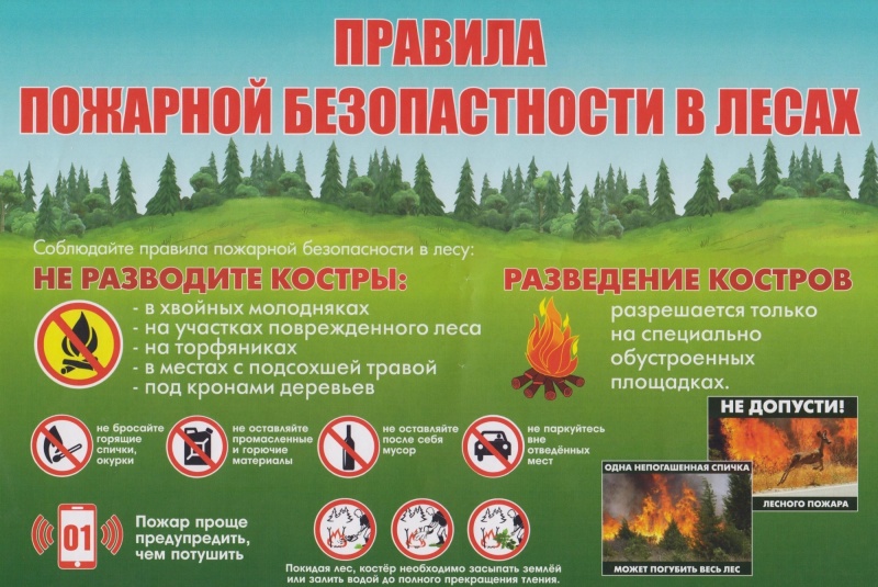 МЧС напоминает: соблюдайте правила пожарной безопасности в лесах!.