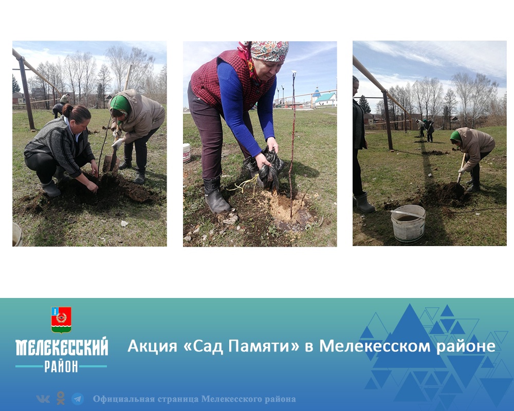 В Ульяновской области действует акция &quot;Сад памяти&quot; приуроченная ко Дню Победы в Великой Отечественной войне.