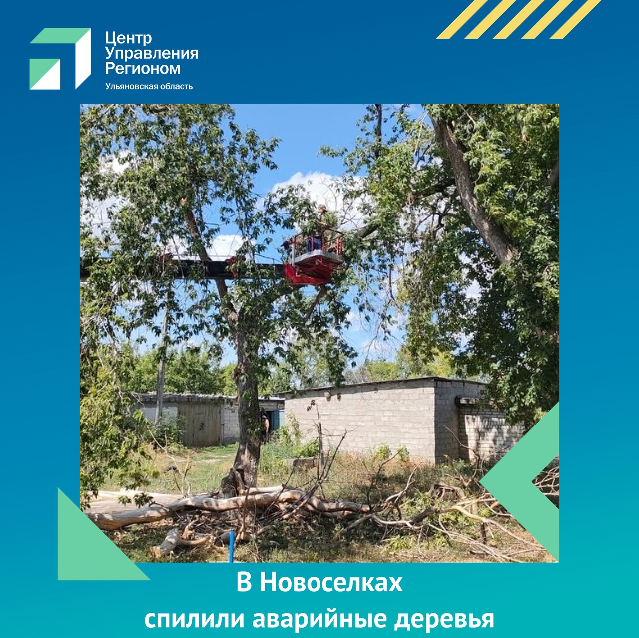 В Новоселках спилили аварийные деревья.