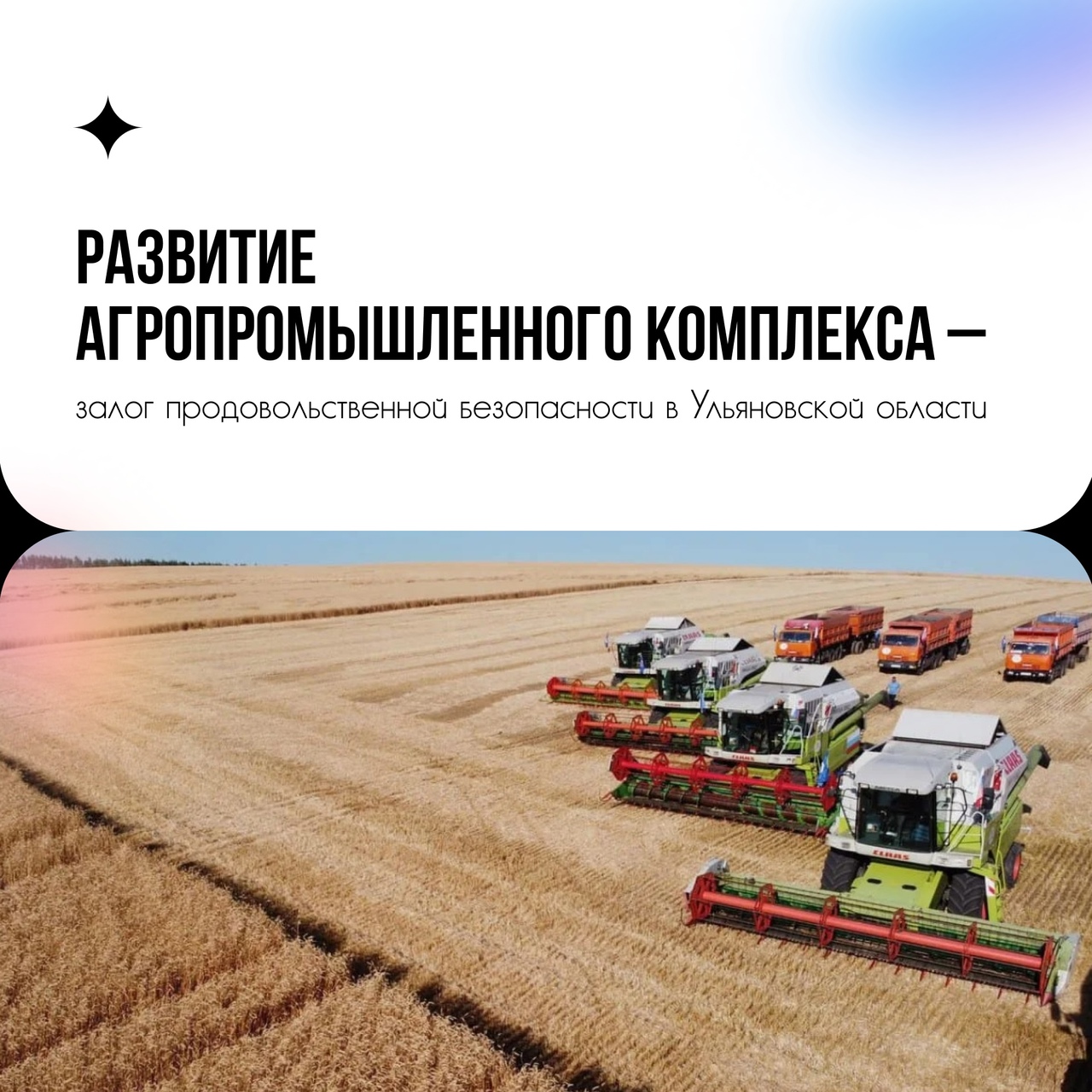 Каких результатов добилась Ульяновская область в агропромышленном комплексе?