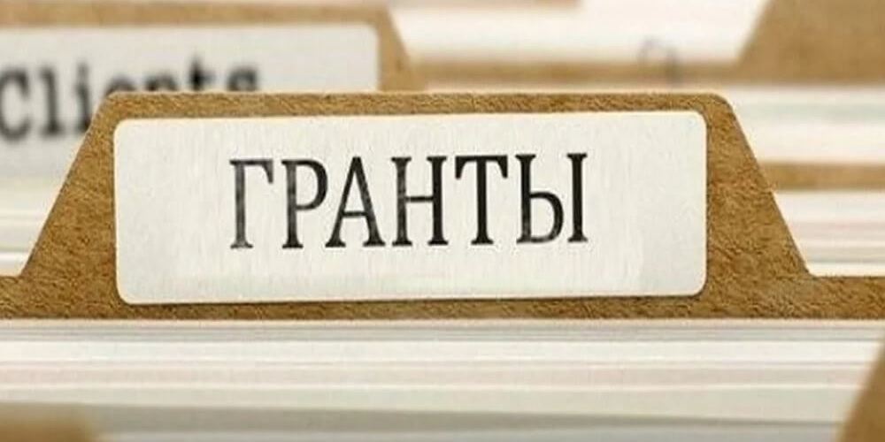 Начинается приём заявок на предоставление из областного бюджета Ульяновской области грантов в форме субсидий.