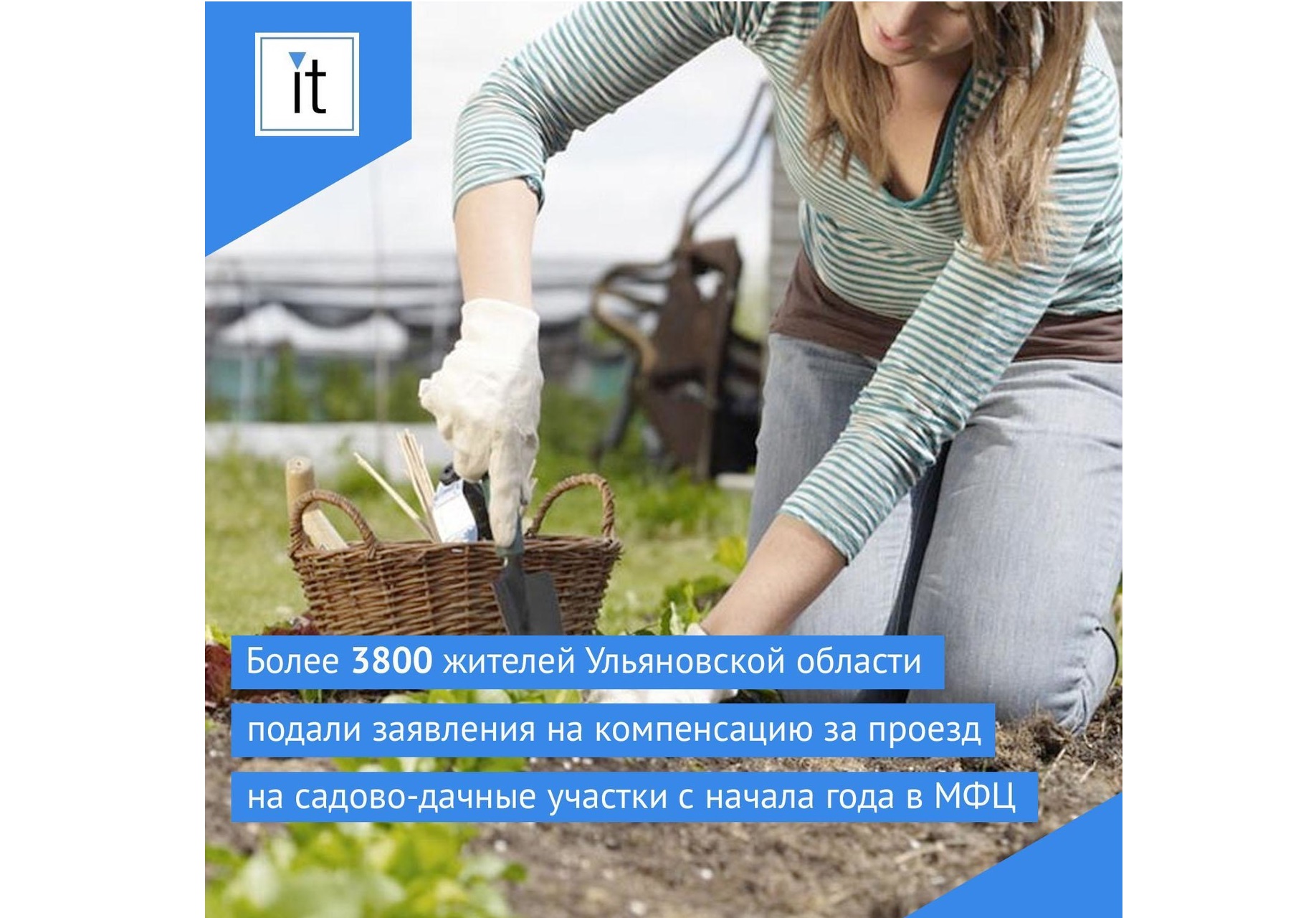 Более 3800 жителей Ульяновской области подали заявления на компенсацию за проезд на садово-дачные участки с начала года в МФЦ.