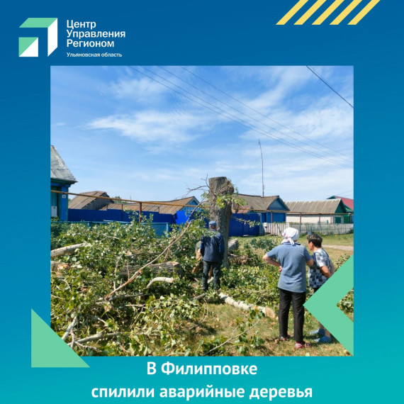 В Филипповке спилили аварийные деревья. В Филипповке спилили аварийные деревья.