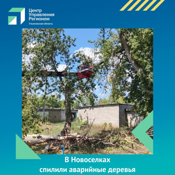 В Новоселках спилили аварийные деревья. В Новоселках спилили аварийные деревья.