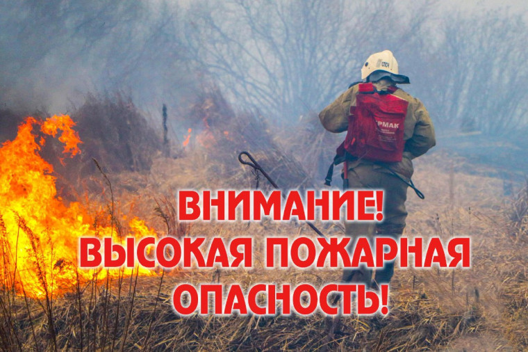 В лесах Ульяновской области действует особый противопожарный режим. В лесах Ульяновской области действует особый противопожарный режим.