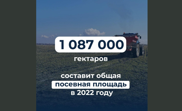 Россия более чем на 100% обеспечивает себя зерном и растительным маслом, рыбой и мясом, более чем на 80% – картофелем, овощами, молоком.. Россия более чем на 100% обеспечивает себя зерном и растительным маслом, рыбой и мясом, более чем на 80% – картофелем, овощами, молоком..