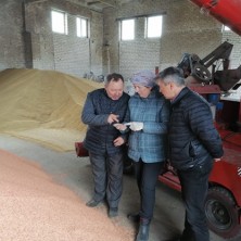 В Мелекесском районе полным ходом идёт посевная кампания.. В Мелекесском районе полным ходом идёт посевная кампания..