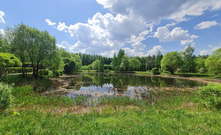 С 31 мая по 5 июня в Ульяновской области пройдет XI Поволжская экологическая неделя. Каждый день будет посвящен определенной теме..